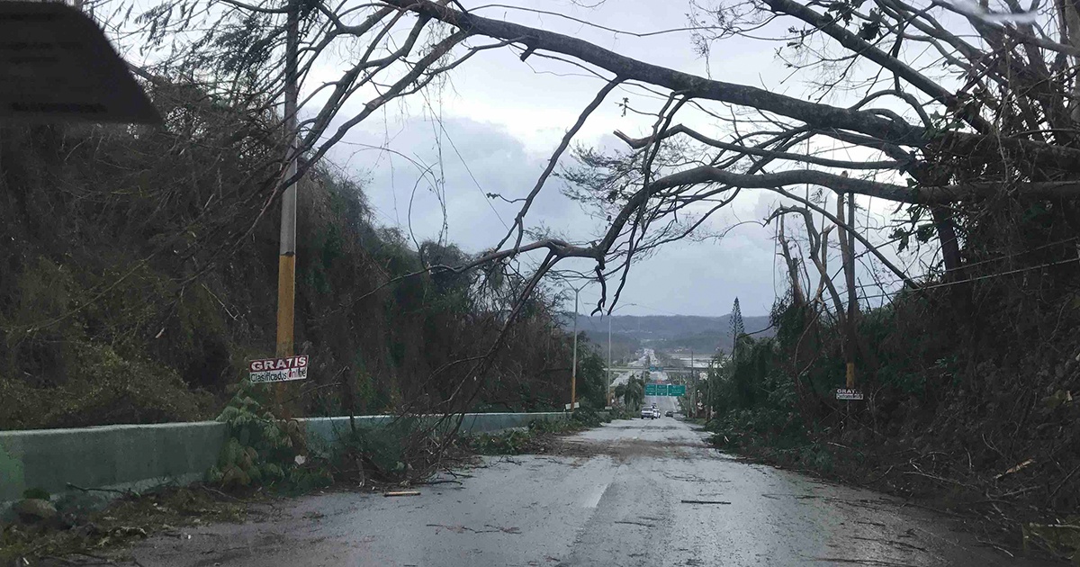 Hurricane Maria Aftermath